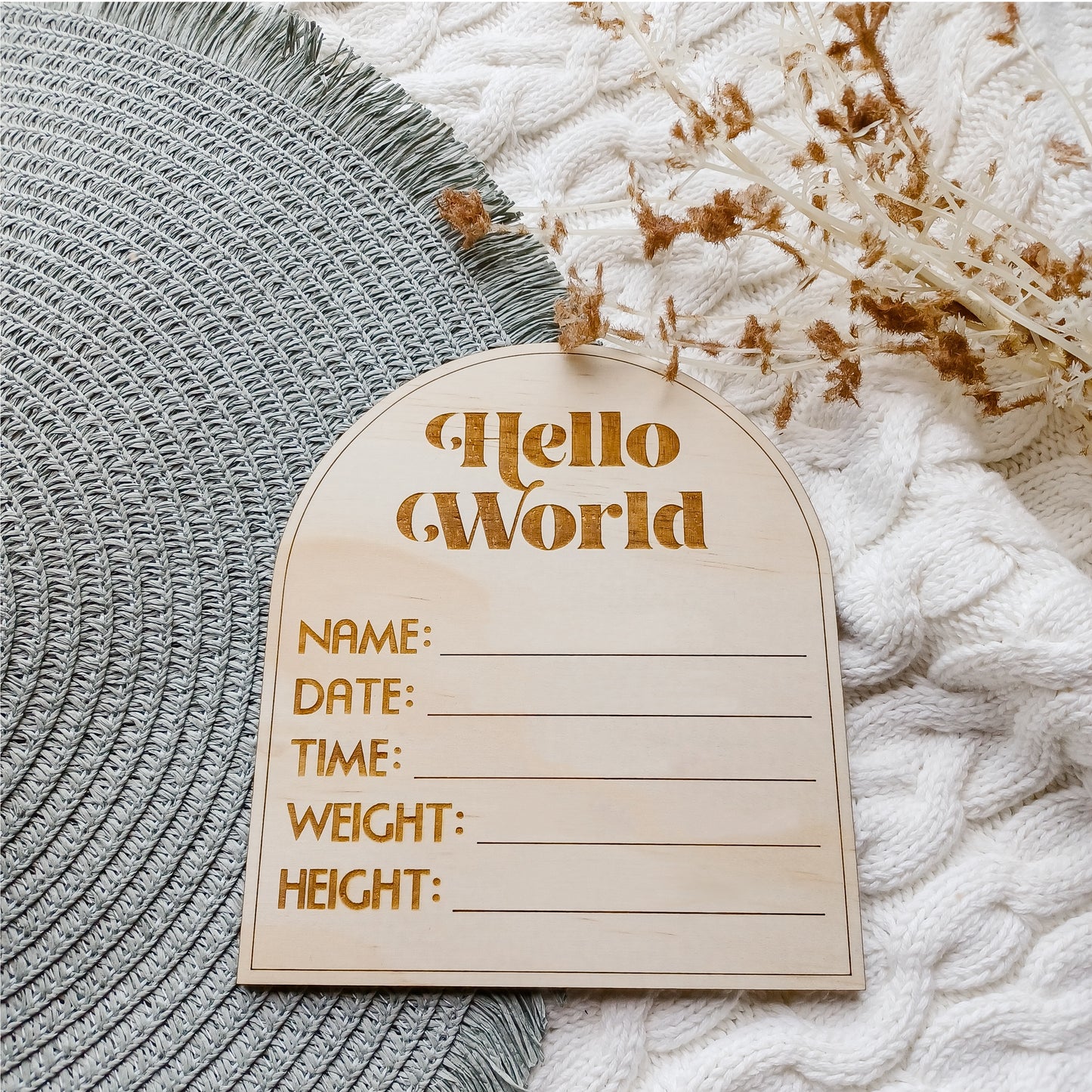 Hello World Retro Birth Announcement Arch