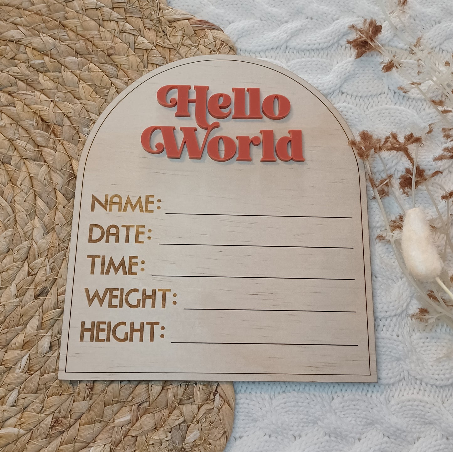 Hello World Retro Birth Announcement Arch